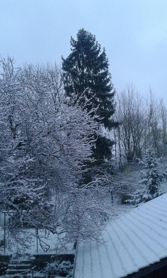 Henonville Au Grand Sapin Chambres Chez L'Habitant מראה חיצוני תמונה